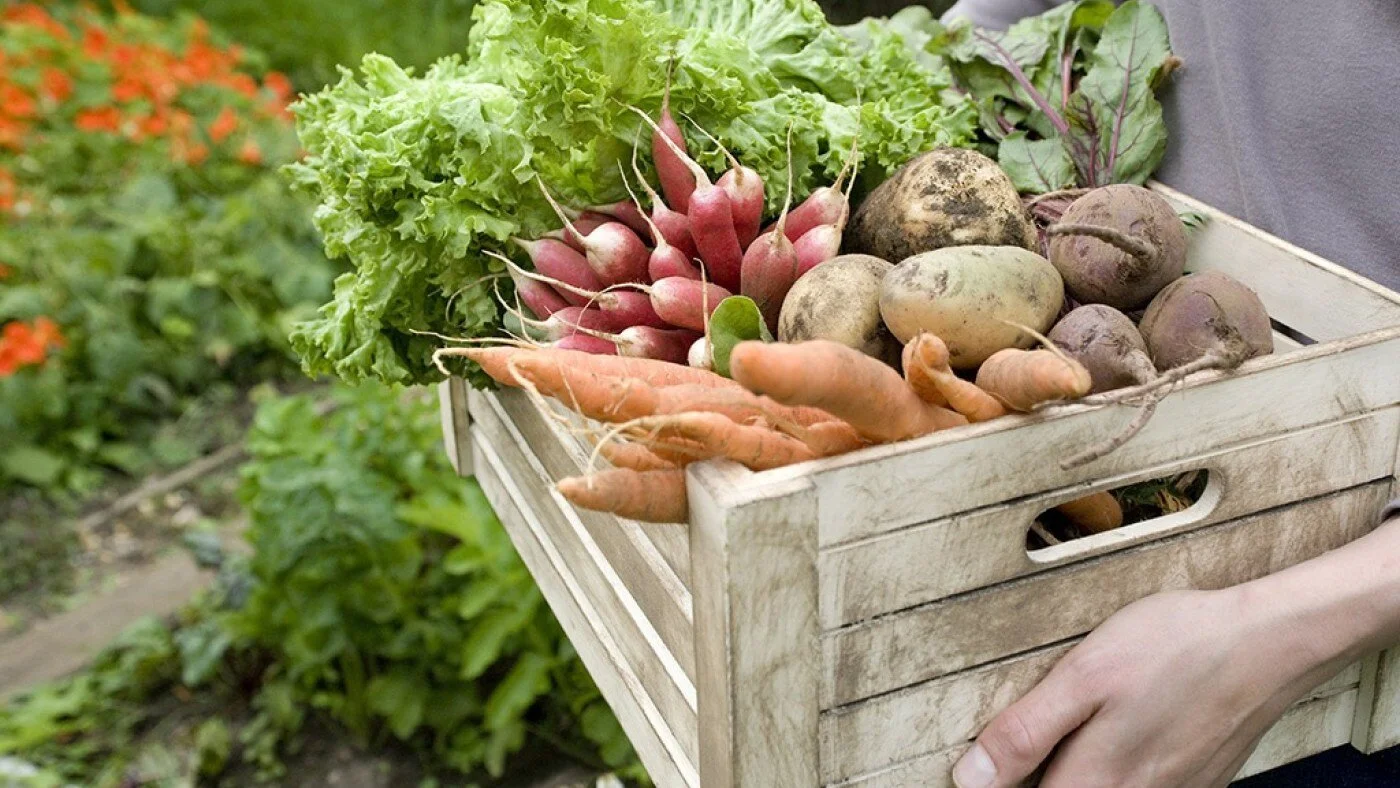 Greenwich Farmer's Market