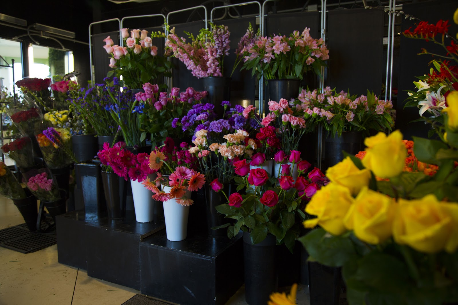 Huisman Farm & Flowers photo 3