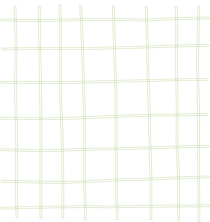 Holland Farmers Market