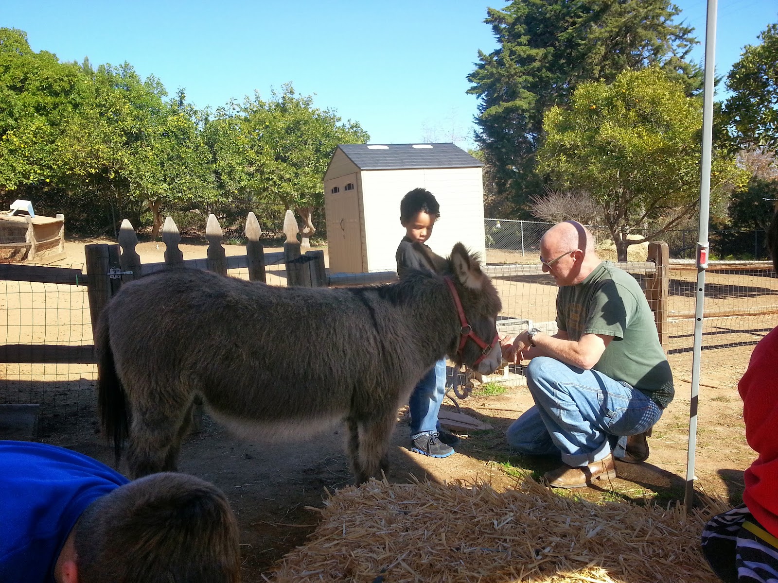 Old Fliegler's Farm photo 2