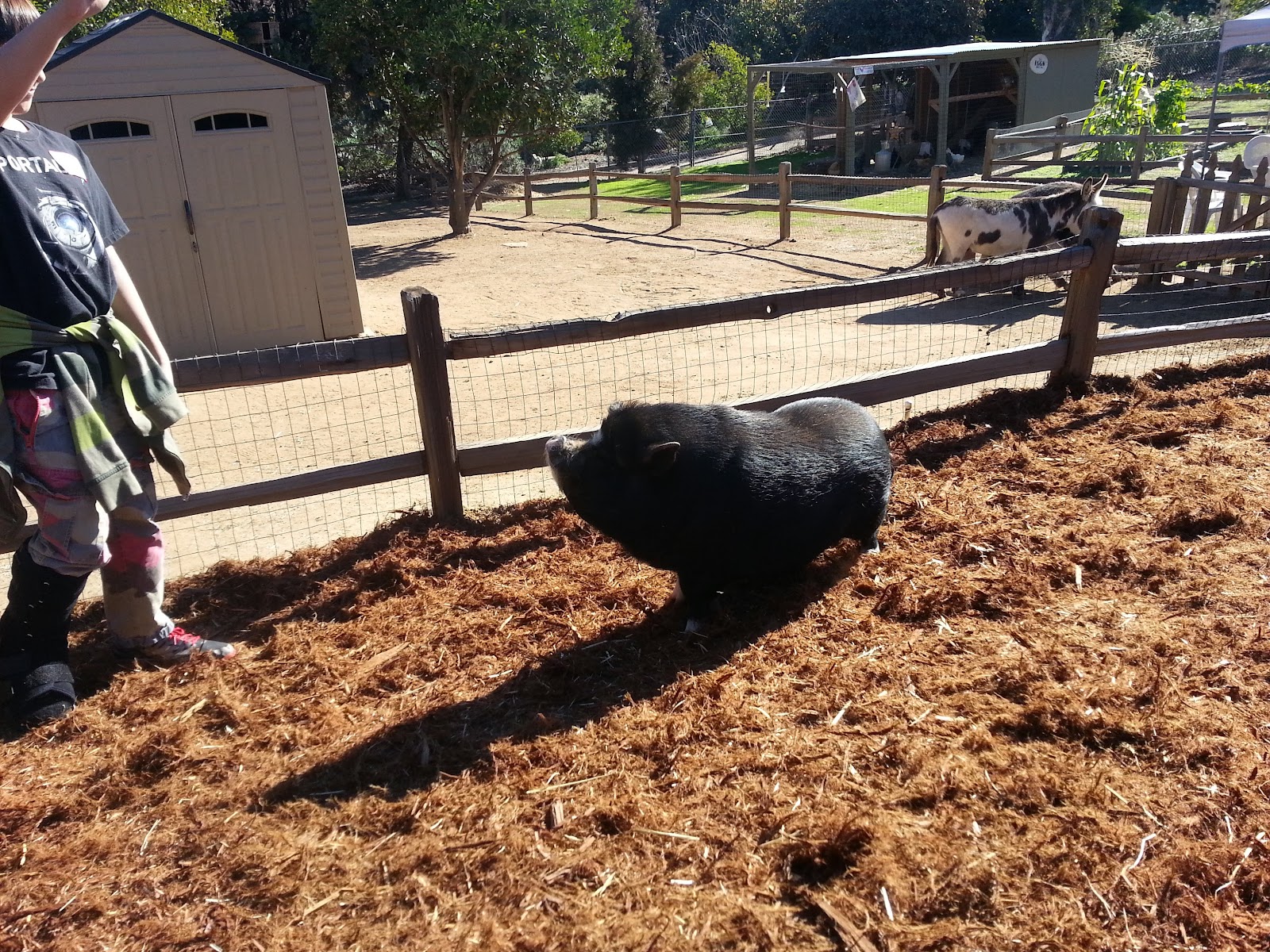 Old Fliegler's Farm photo 6