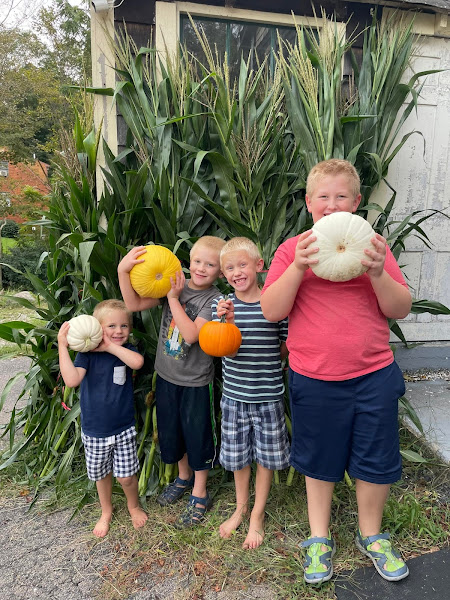 Oake Knoll Farms photo 4