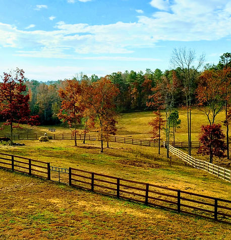Oak Spring Meadows Farm photo 5