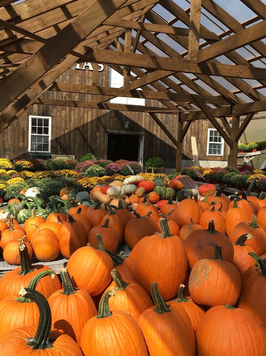 Gotta's Farm photo 25