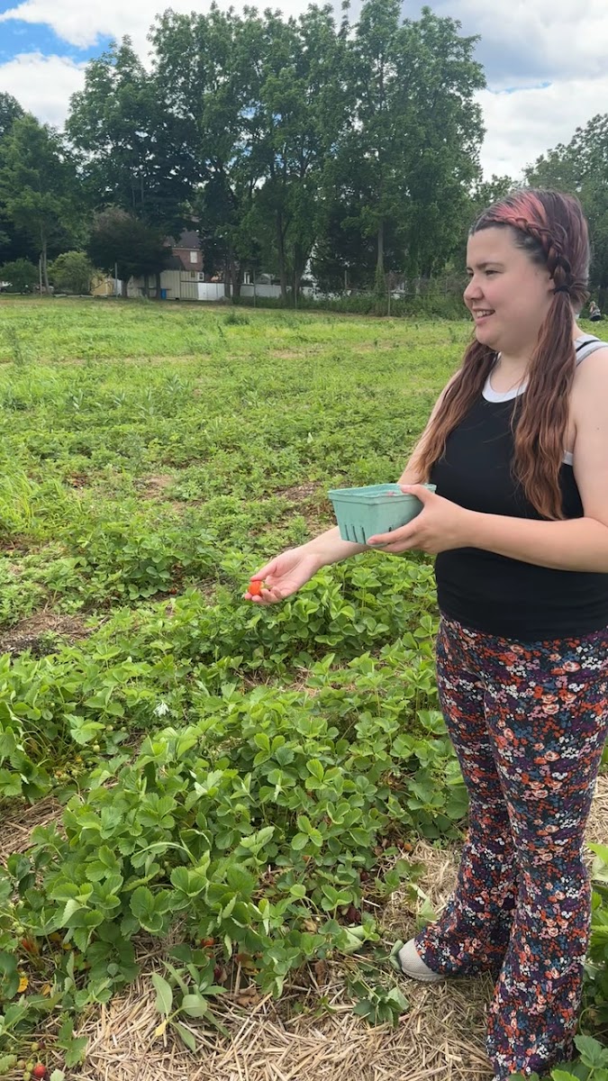 Gotta's Farm photo 26