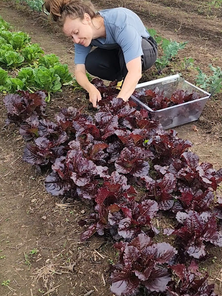 Blue Mountain Farm photo 2