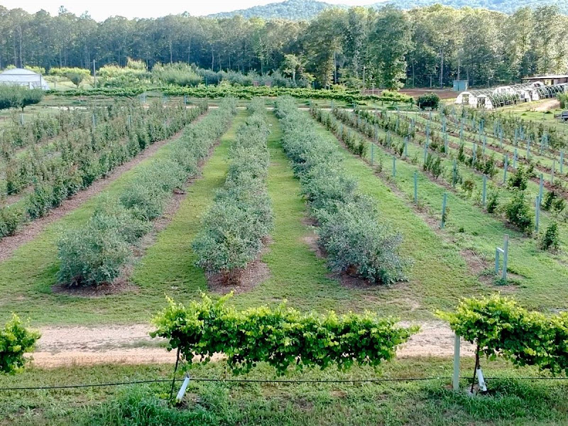 Holmestead U-Pick We-Pick Farm Country Store & Market