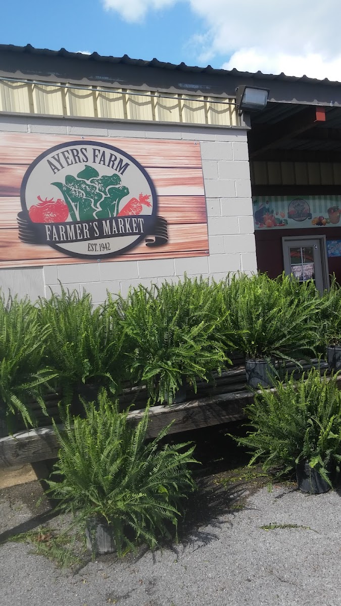 Madison County Farmers' Market