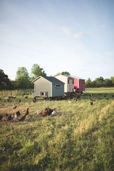 Hershberger Heritage Farm