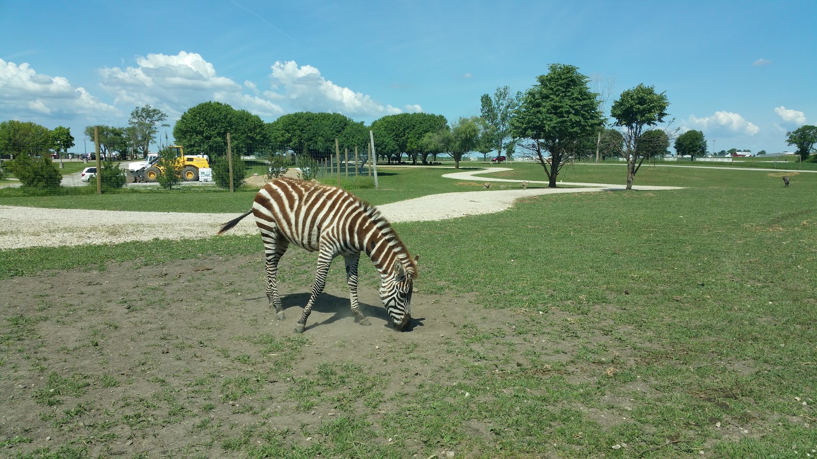 Rockome Garden Foods photo 3