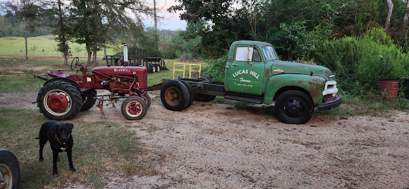 Alabama Acres photo 2