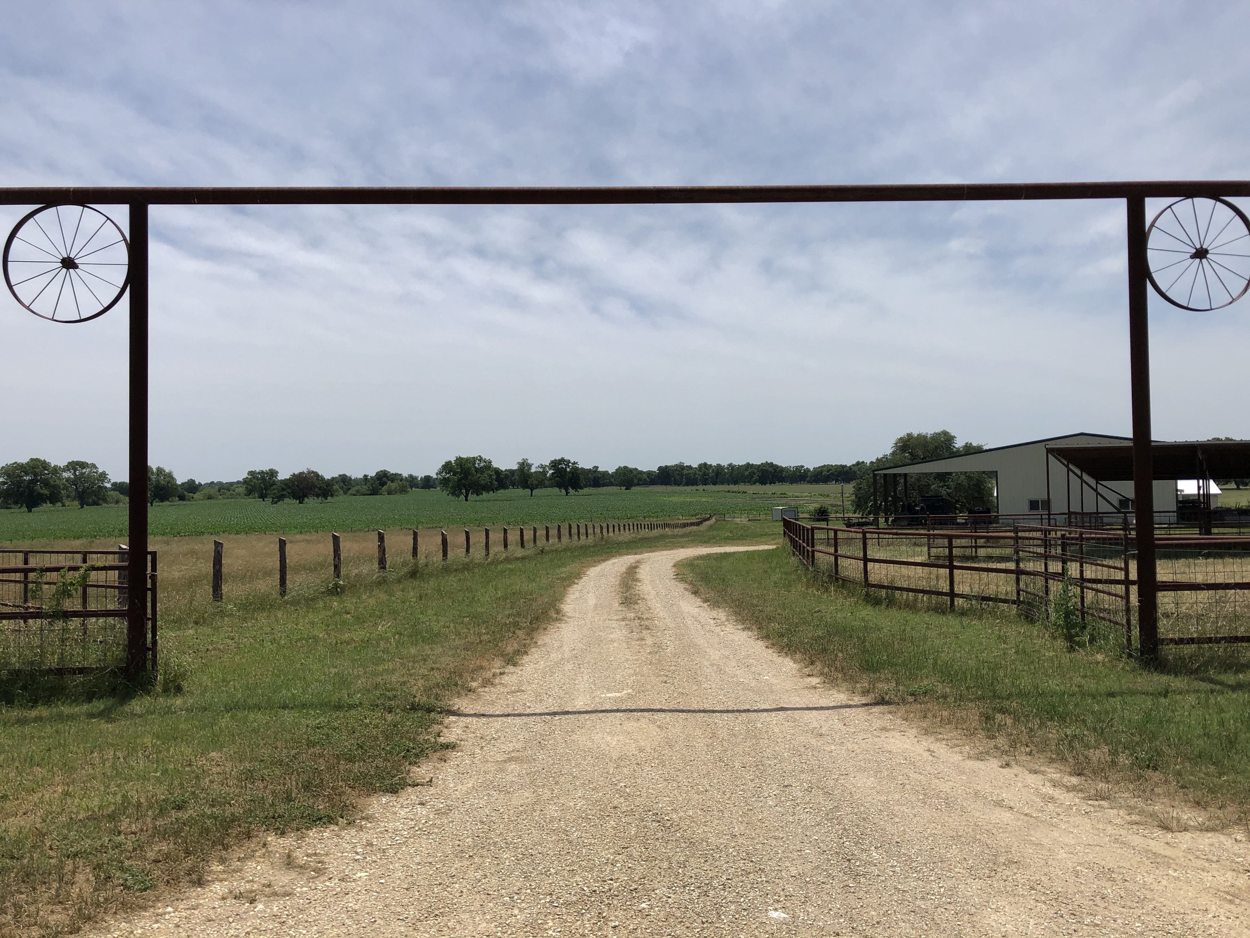 River Valley Ranch & Grass Fed Beef