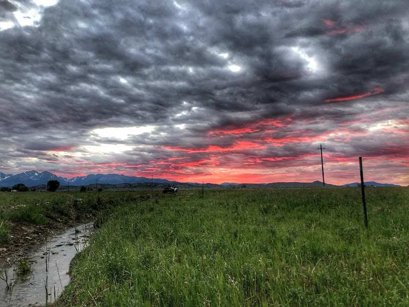 B Bar Ranch Beef Shop