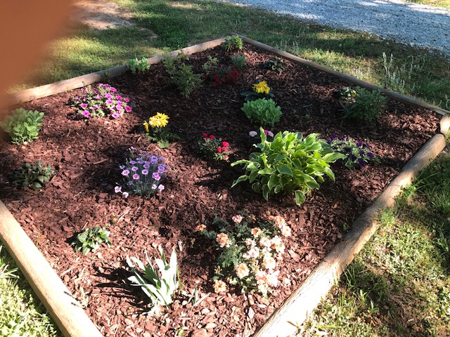 Carver Farm Nursery photo 2
