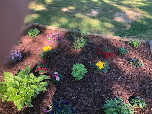 Carver Farm Nursery photo 3