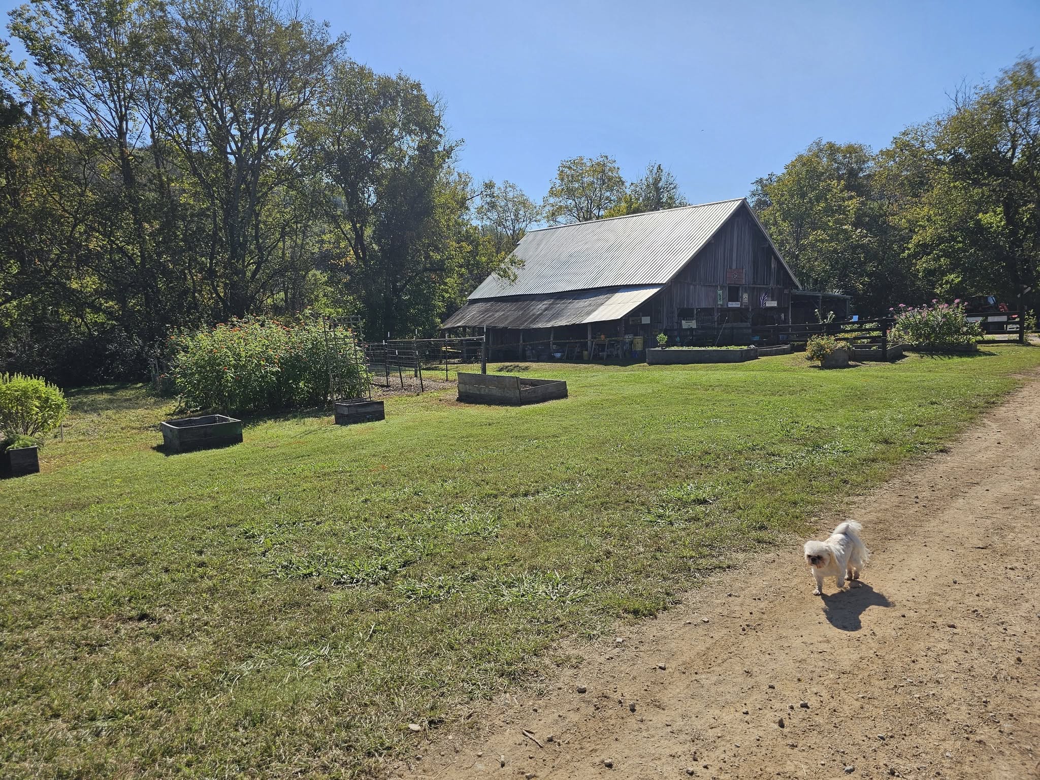 Highland Realm Berries and Produce