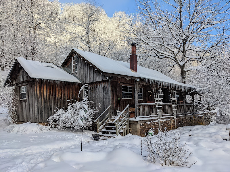 Ponca City Farmers Market photo 6