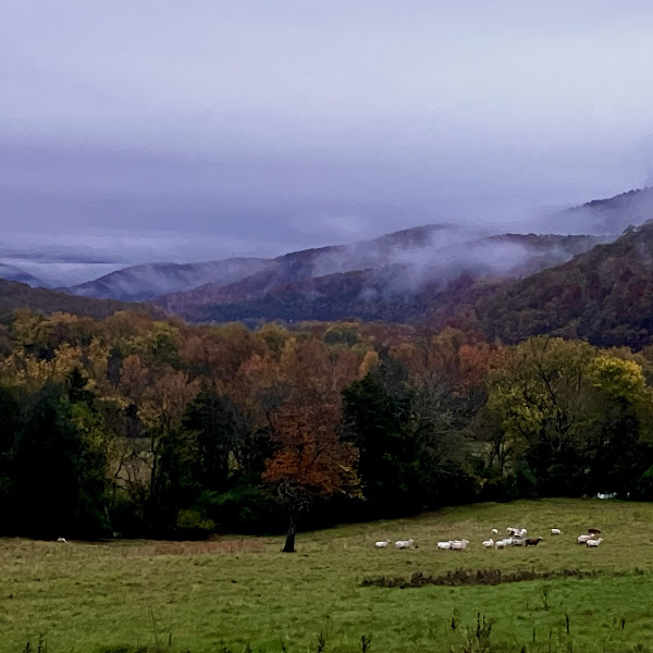 Ponca City Farmers Market photo 7