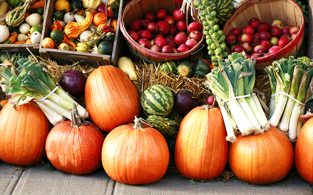 Ponca City Farmers Market