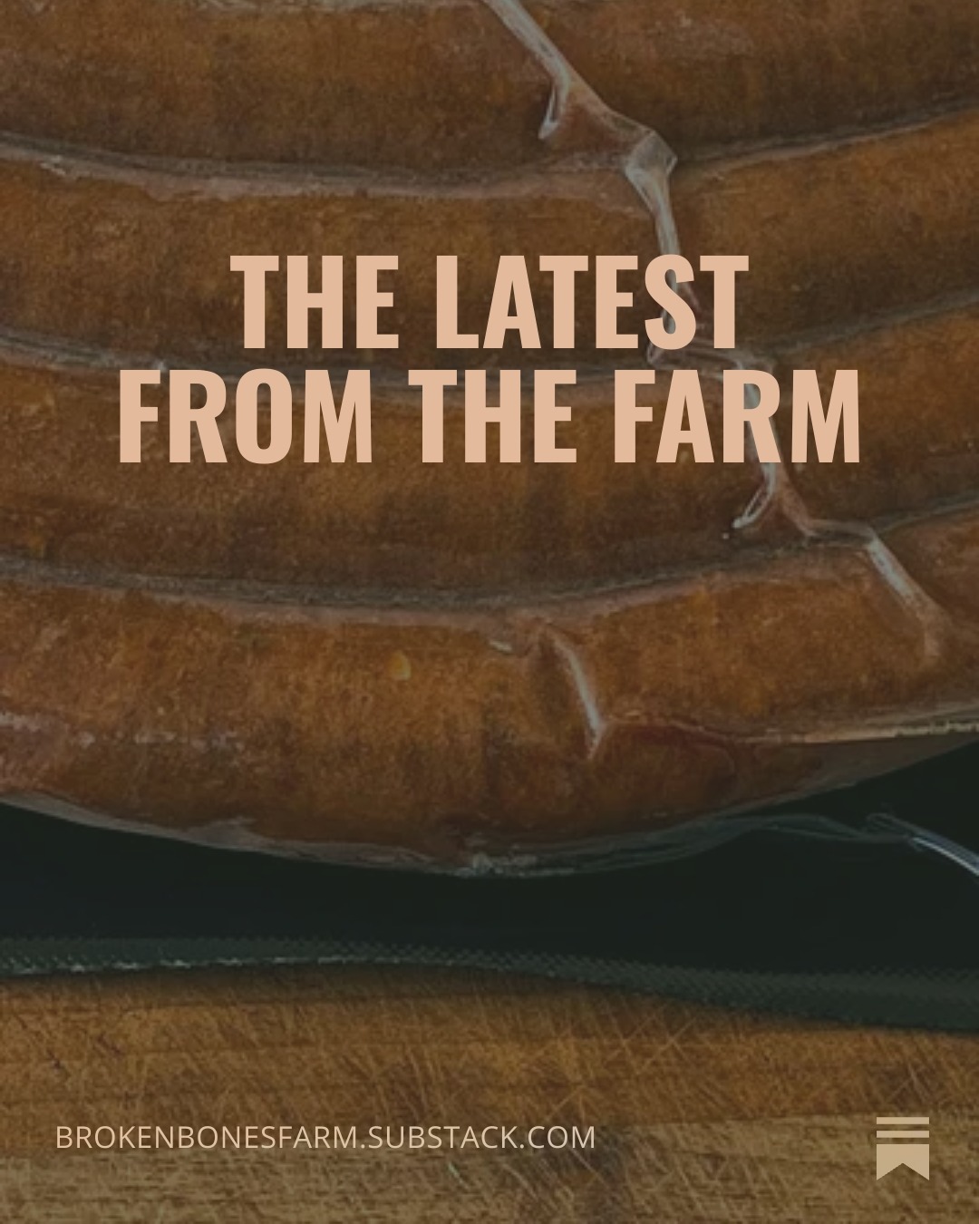 Broken Bones Farm photo 3