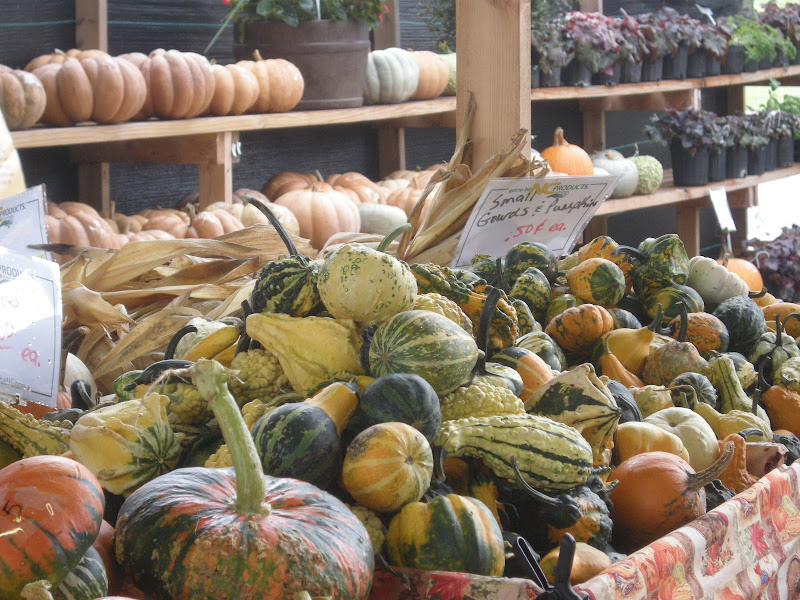 Piedmont Triad Farmers Market
