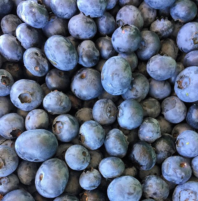 Berry and Bloom Farm LLC