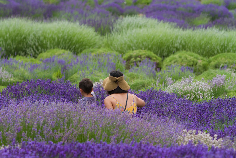 Sage Creations Farm, LLC