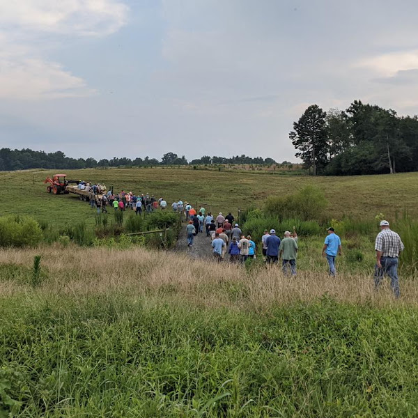 Running T Farms photo 2