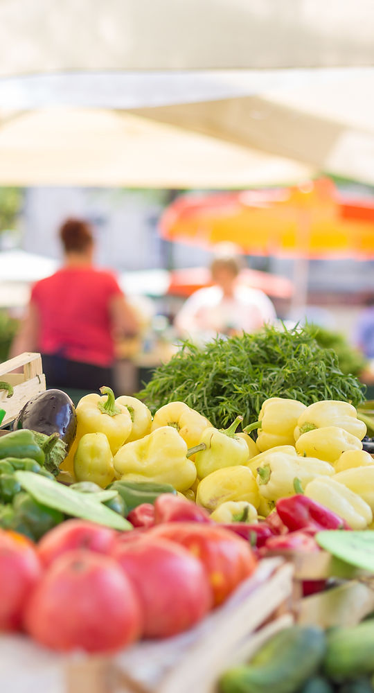 Augusta Locally Grown photo 14