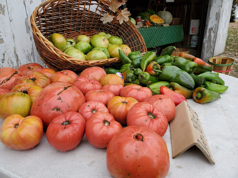 Hristov Family Farm photo 2