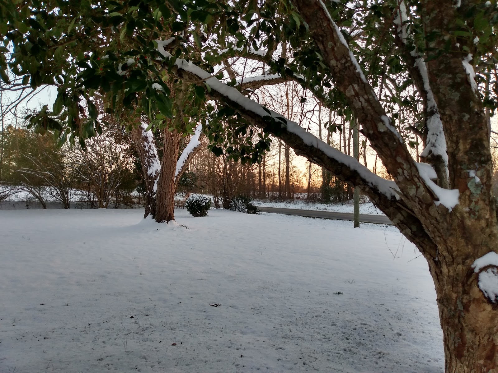 Parker Family Farm photo 3
