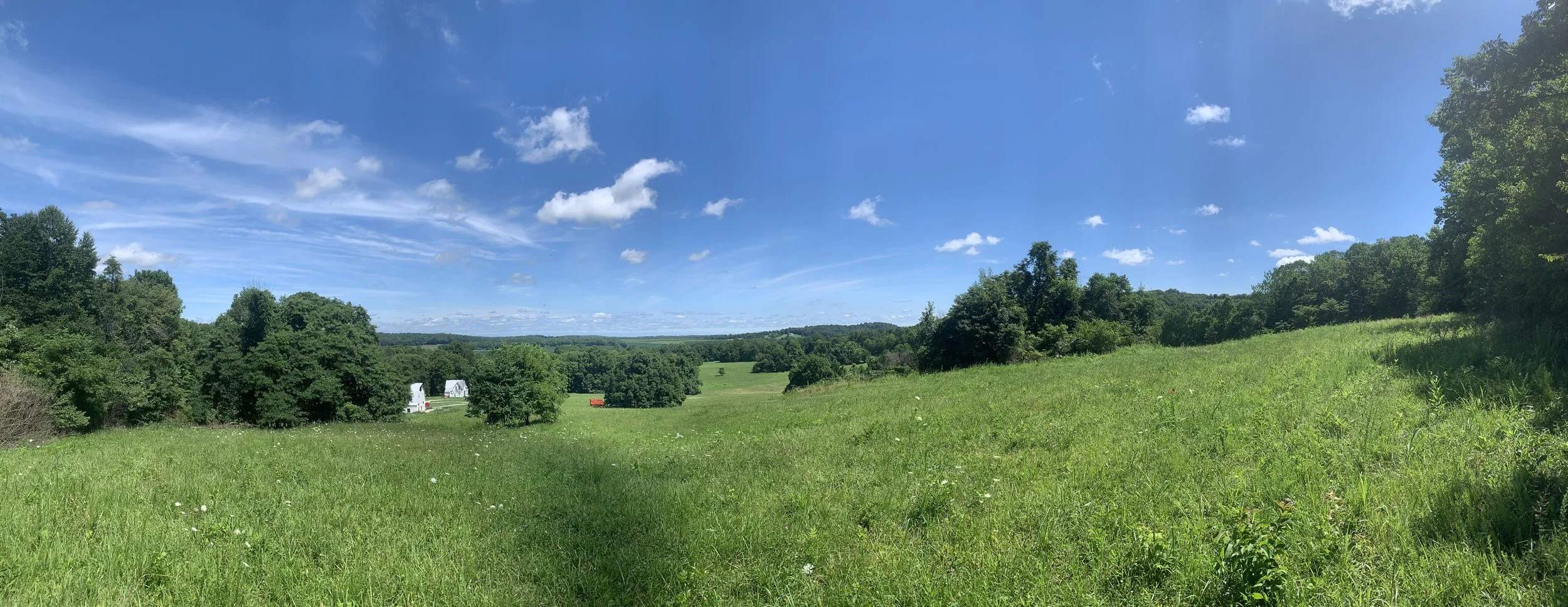 Twin Springs Creamery photo 19