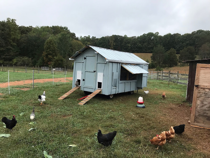 Hidden Springs Family Farm