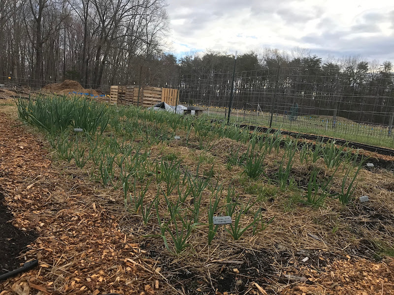 Hidden Springs Family Farm photo 2