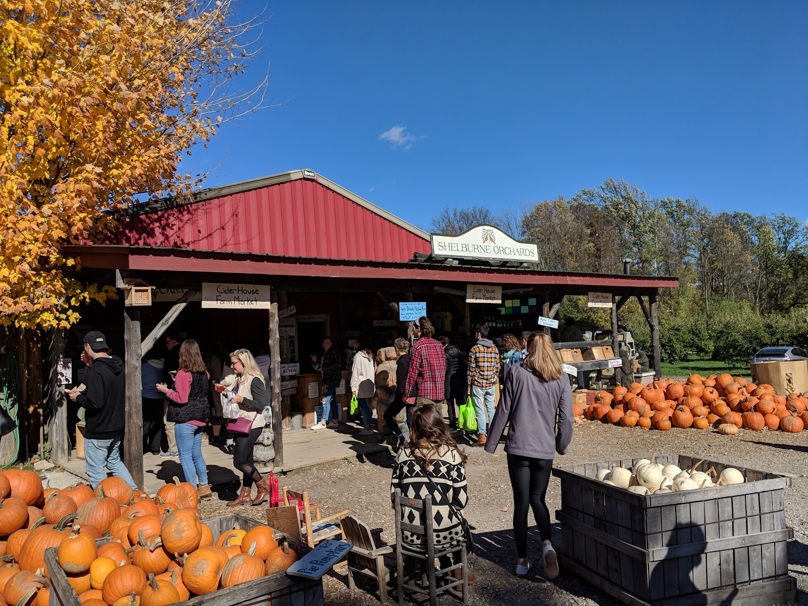 Shelburne Orchards