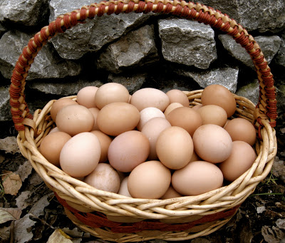 Beverlin's Little Piece of Paradise