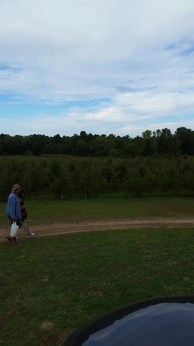 Radke's Orchards photo 4