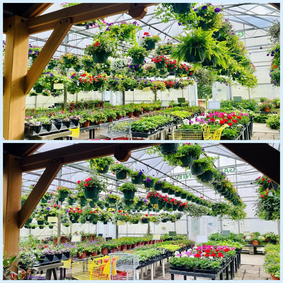 Country Harvest Greenhouse