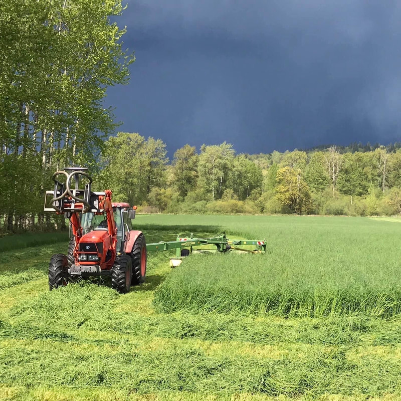 Chinook Farms photo 2