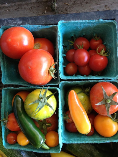 Chinook Farms photo 12