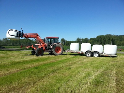 Chinook Farms photo 3