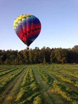 Chinook Farms photo 4