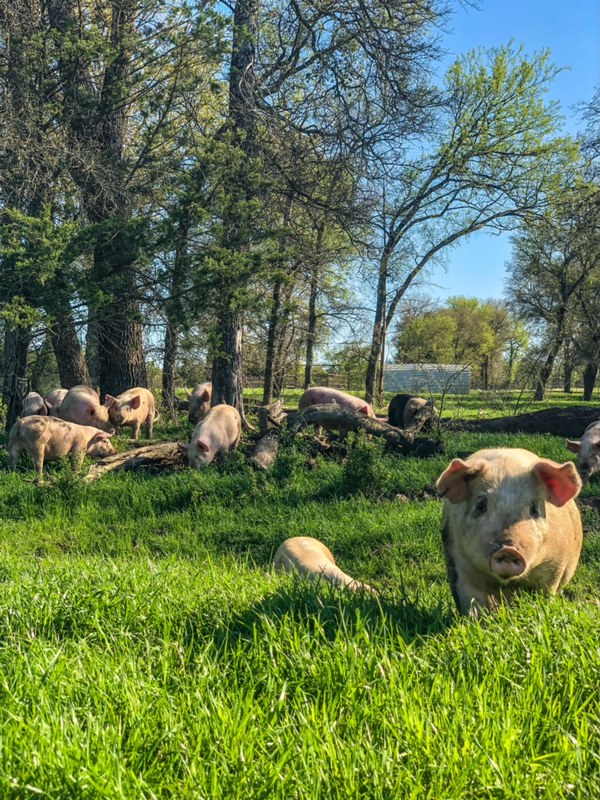 Rehoboth Ranch photo 2