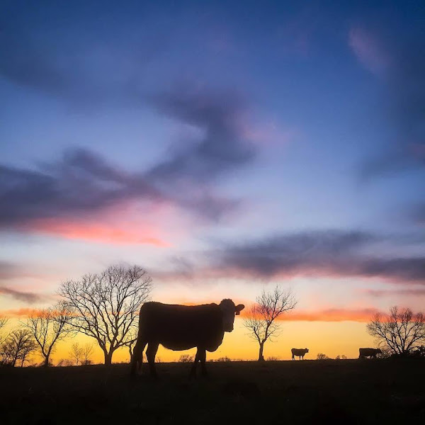 Rehoboth Ranch