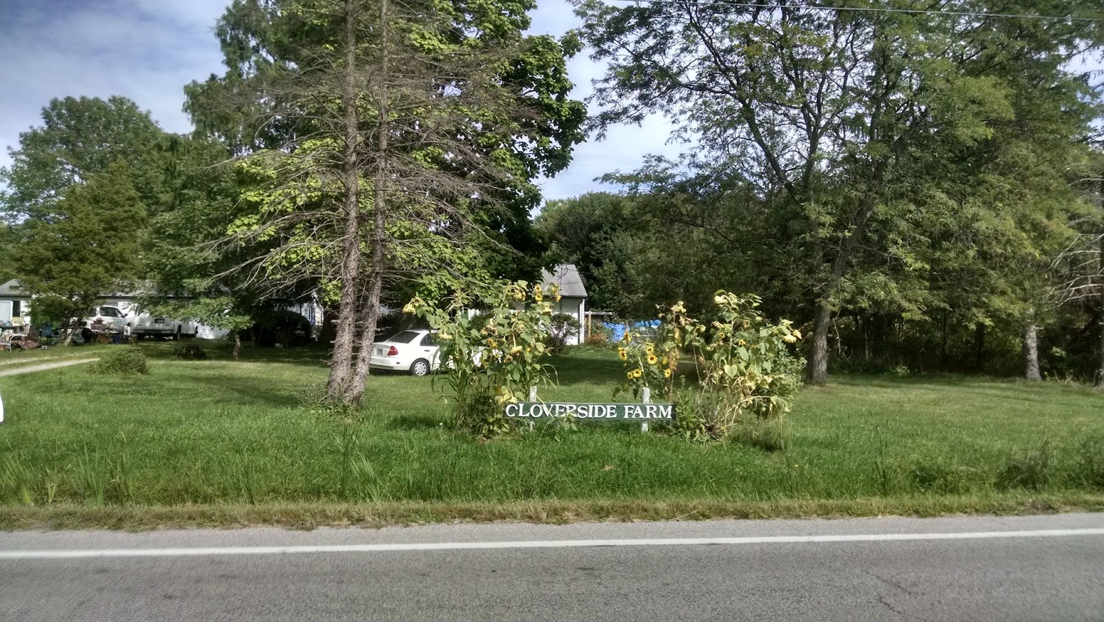 Lynch Mill Creek Farm