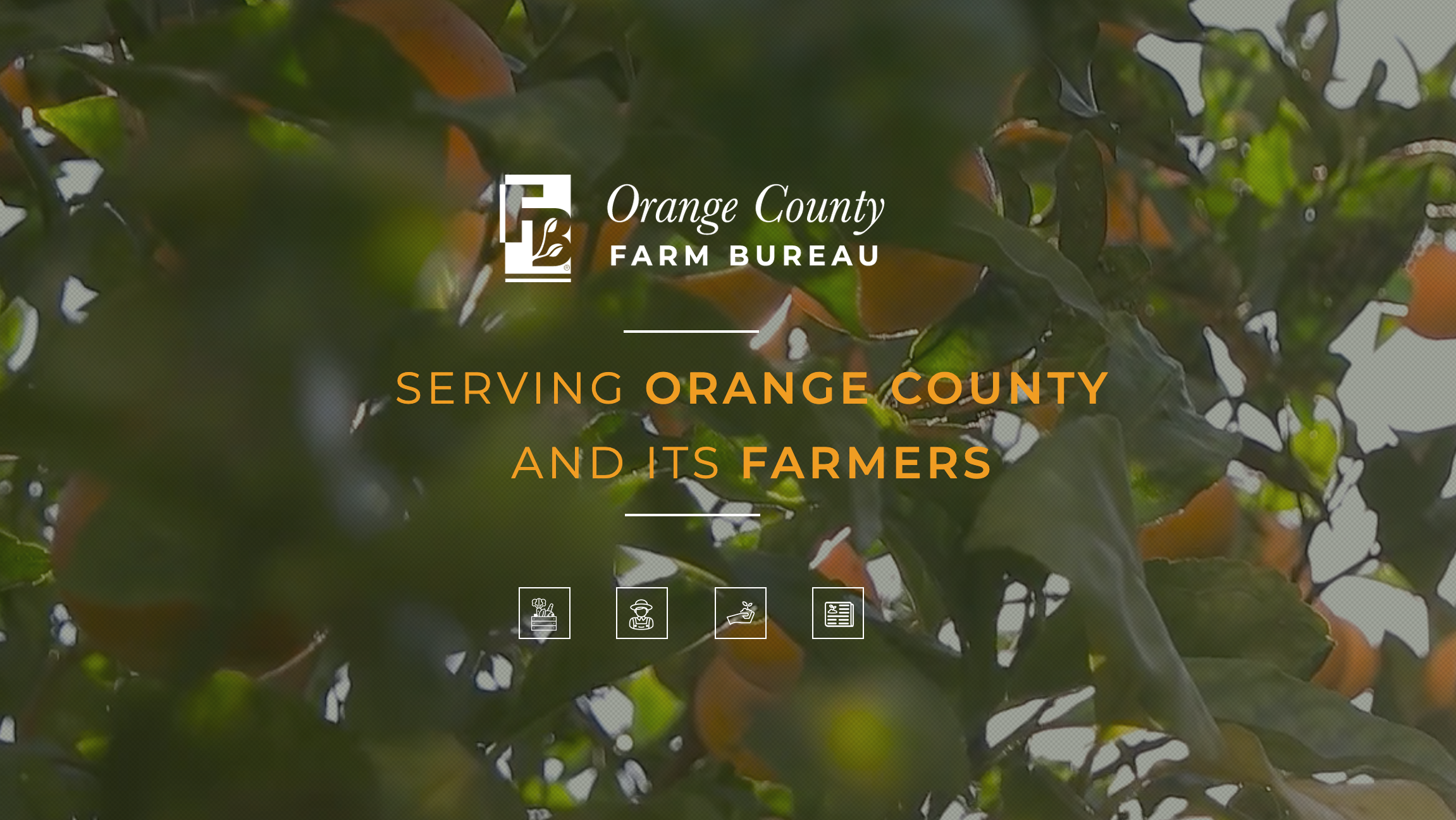 Irvine Farmers Market