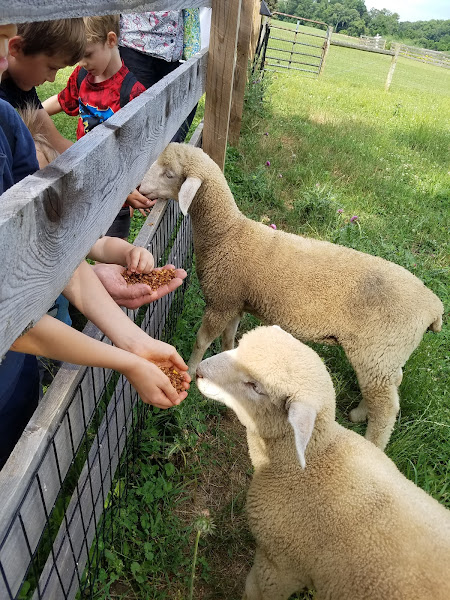 Coverdale Farm Preserve of Delaware Nature Society photo 22