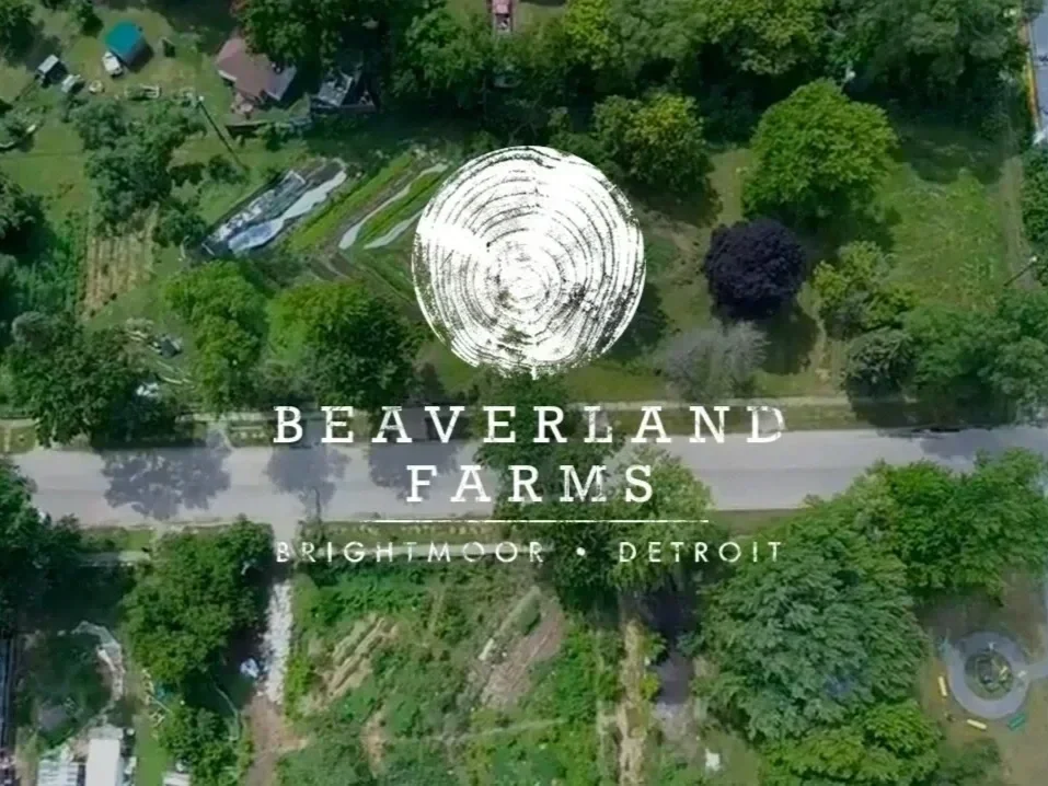 Beaverland Farms photo 16