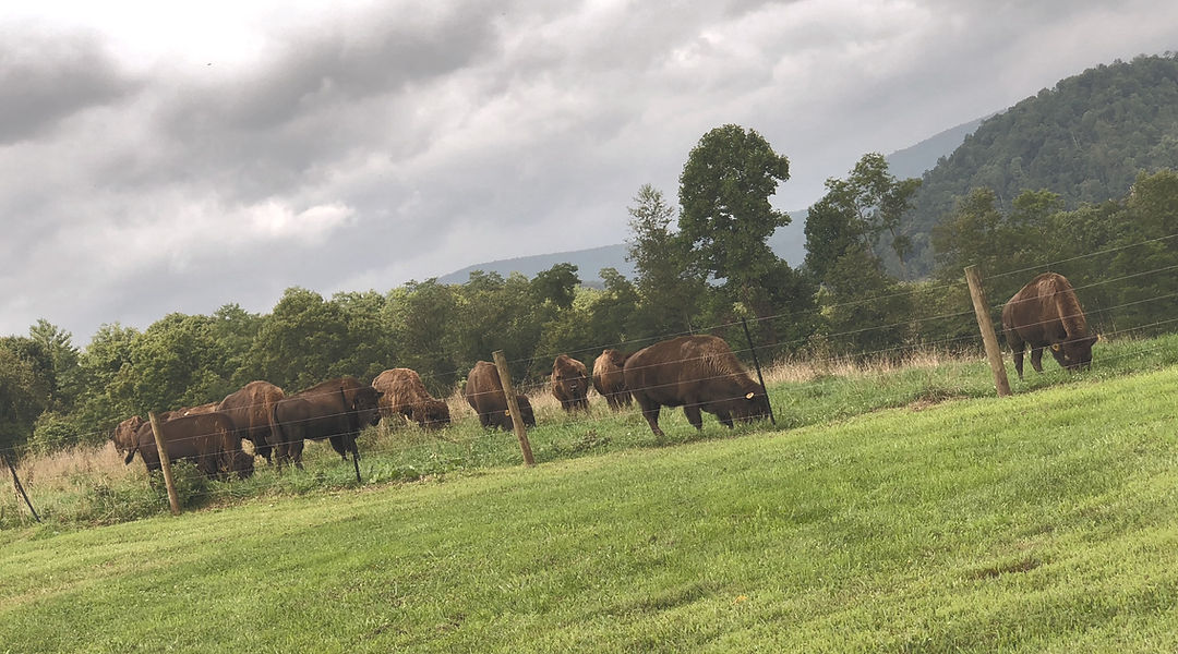 Riffle Farms photo 19