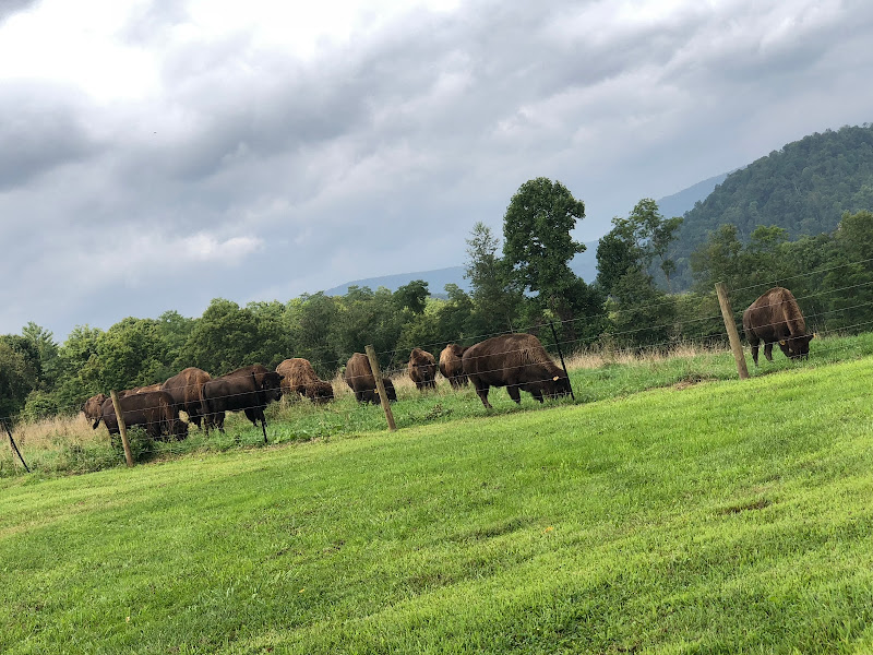 Riffle Farms